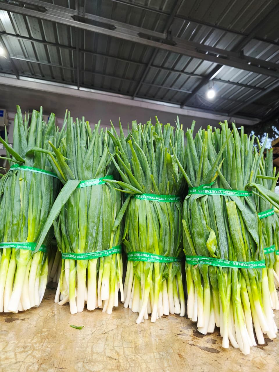 Fresh spring onions