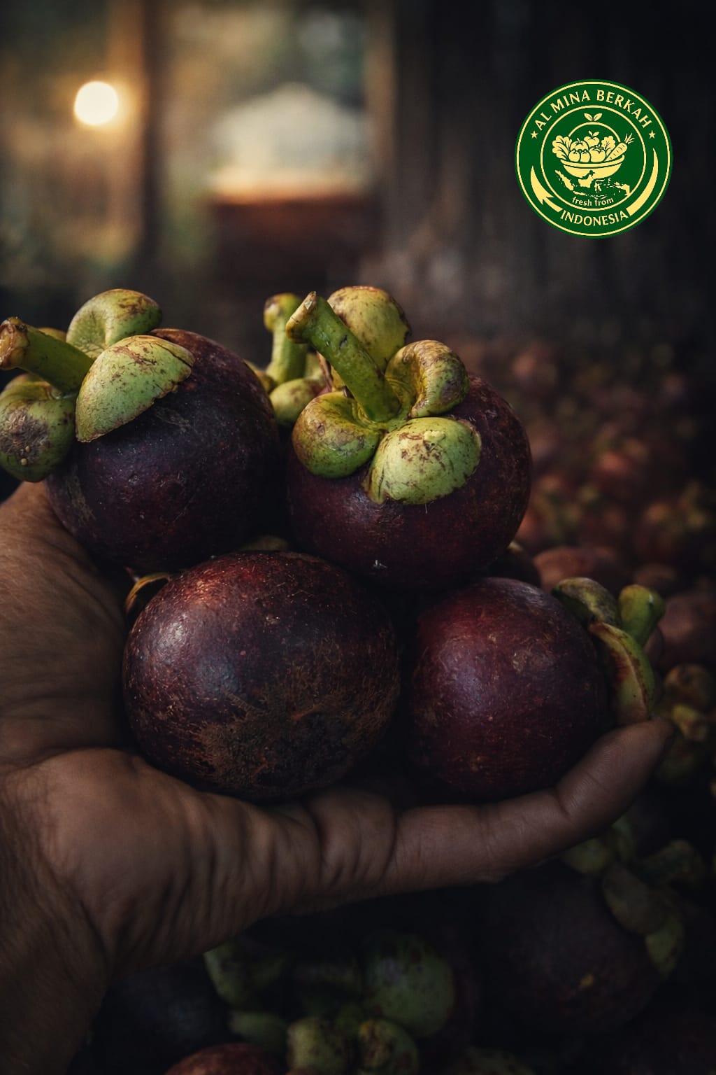 Premium Mangosteen