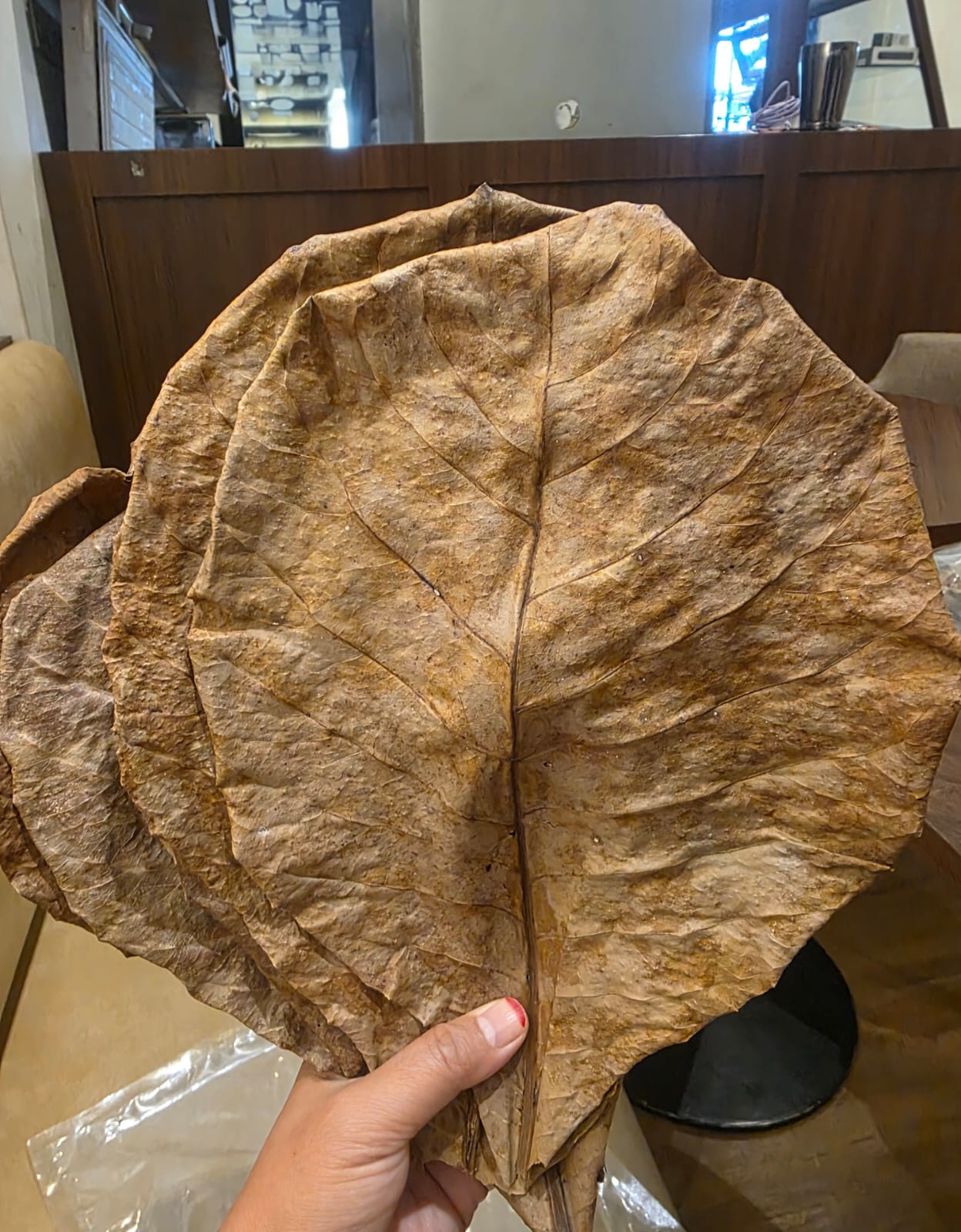Dried Ketapang Leaves